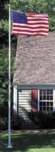 VillagerAllianceFlagpole52421